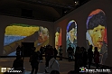 VBS_8094 - Van_Gogh_experience